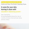 Korean Cleasing / The Perfect Cleansing Tissue Plus 100 Sheets - Gentle Makeup Remover Wipes