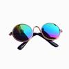 Pet Glasses: Small Sunglasses for Cats & Dogs, Pet Accessories, Photo Props
