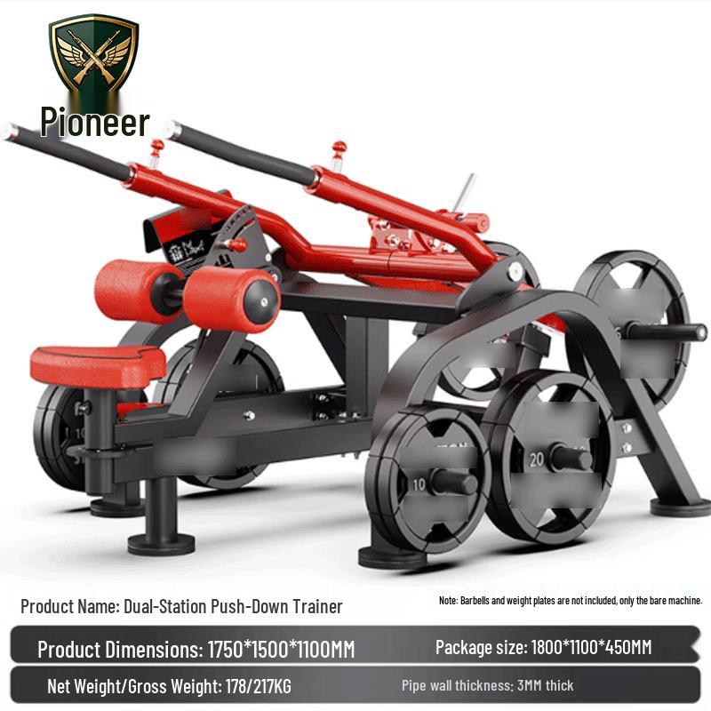 Panata Separate Motion Lat Pulldown Trainer