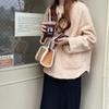 2025 Matte Leather Fur Crossbody Handbag - Fashionable Retro Versatile Fluffy Small Women's Bag