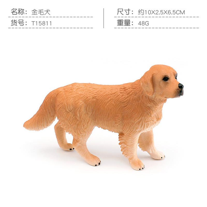 Captivating Golden Retriever Corgi And Saint Bernard Models Perfect For Pet Enthusiasts