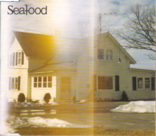

CD SEAFOOD - Porchlight NING54CD Fierce Panda 1998 UK Rock Used