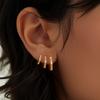 S925 Sterling Silver Round Micro-Inlaid Zircon Personalized Trend Ear Buckle Stud Earrings Jewelry