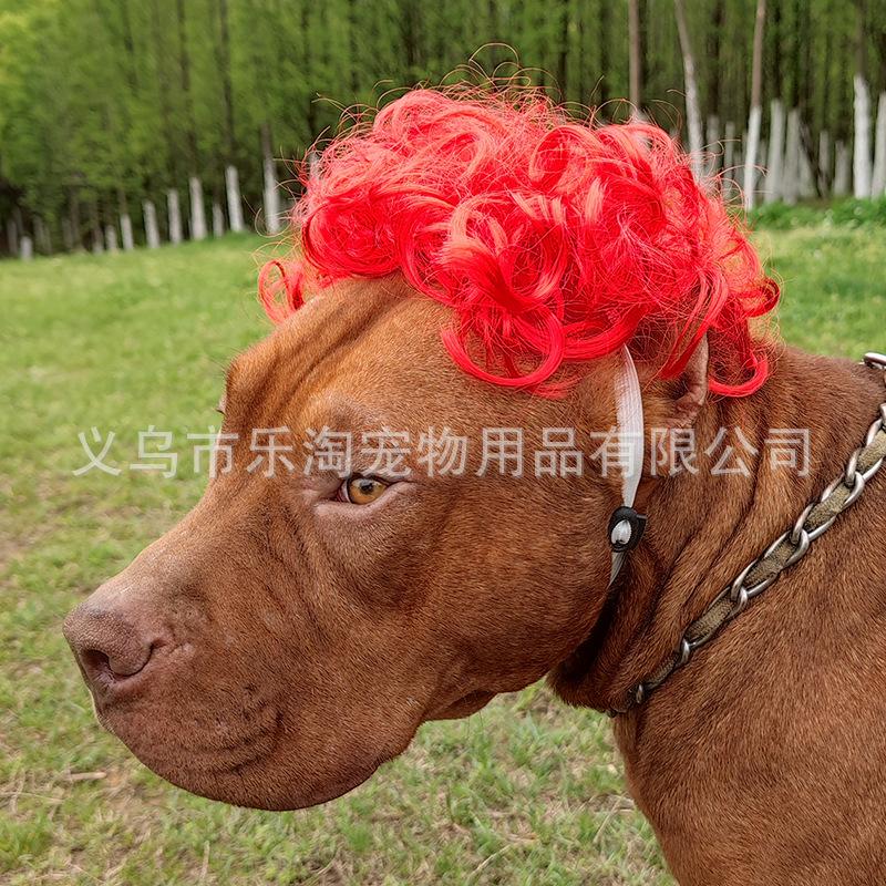 Dogs Cats Headdress Funny Pet Wigs Bangs Exploding Head Braids Straight Hair Nylon Fibre Material Halloween Pet Accessories