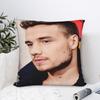 L-Liam Payne Singer Pillow Case  Custom Pillow Cover Morden Pillowcases For Living Room Bed Chair