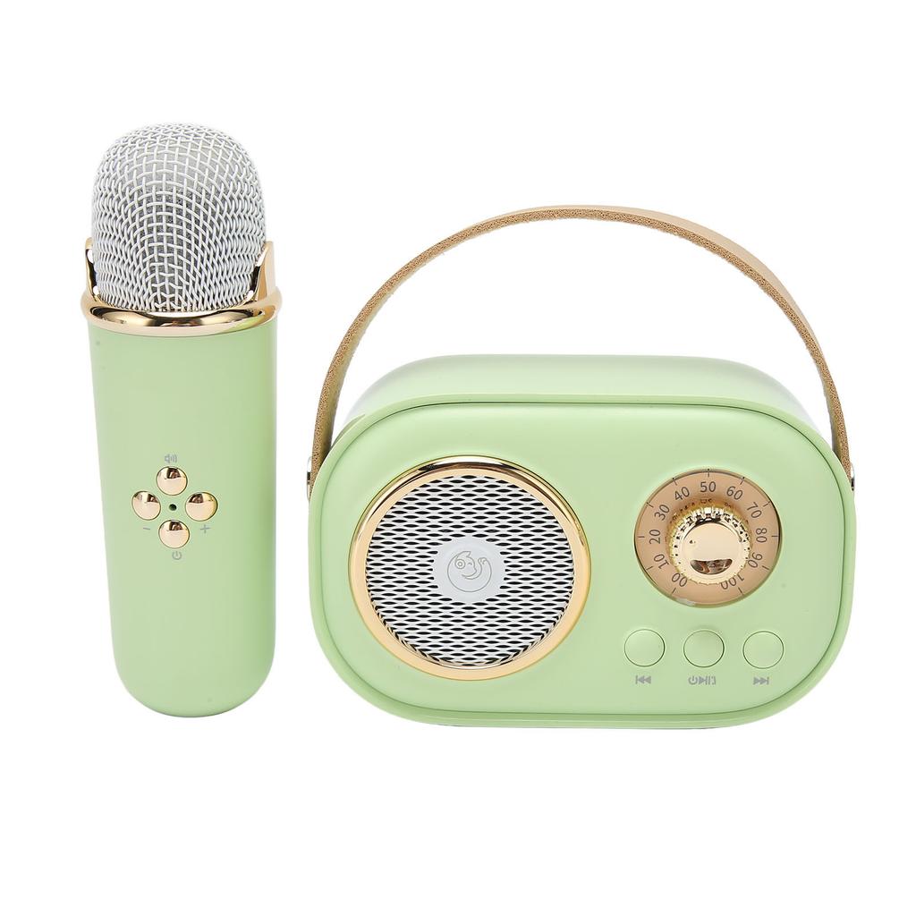 Wireless Bluetooth Speaker with Microphone Portable Rechargeable Mini Mics Speaker Set for Home