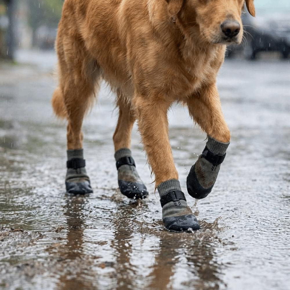 4PCS Wear Resistant Waterproof Dog Socks Shoes Dirt-Resistant Dog Paw Protector Home