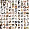10/30/50/100pcs Funny Animal Cat MEME Graffiti Stickers Waterproof DIY Suitcase Motorcycle Phone Luggage Cute Waterproof Sticker
