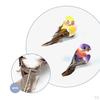 12 Pcs Birds Figurines Artificial Foam feather type bird for crafts Decoration home and garden