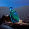 Ramsons Lucas Perfume Spray for Men - 100ml | TN - Cirtus, Aqua, Herbal, Pine & Green |