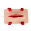 Professional Wound Bleeding Control Trainer Model Realistic Simulation Skin Wound Model for Teaching Demonstration