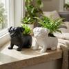 Plastic Pug Shaped Planter Pot 3D Printed Dog Succulent Planter Storage Flower Pot  Home Decor