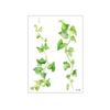 5 Vel Langdurige Groene Blad Tijdelijke Tatoeages Waterdichte Make-up Stickers Body Art