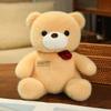25cm Kawaii Bunte Fliege Bär Puppe Plüschtier Stofftier Bär mit Rose Tierpuppe Geburtstagsgeschenk Kissen für Mädchen Kinder