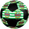 SIZE 5 Rapid Vienna Soccer Ball Colorful All Ages Machine Stitched PVC Competition Ready Durable High-Bounce