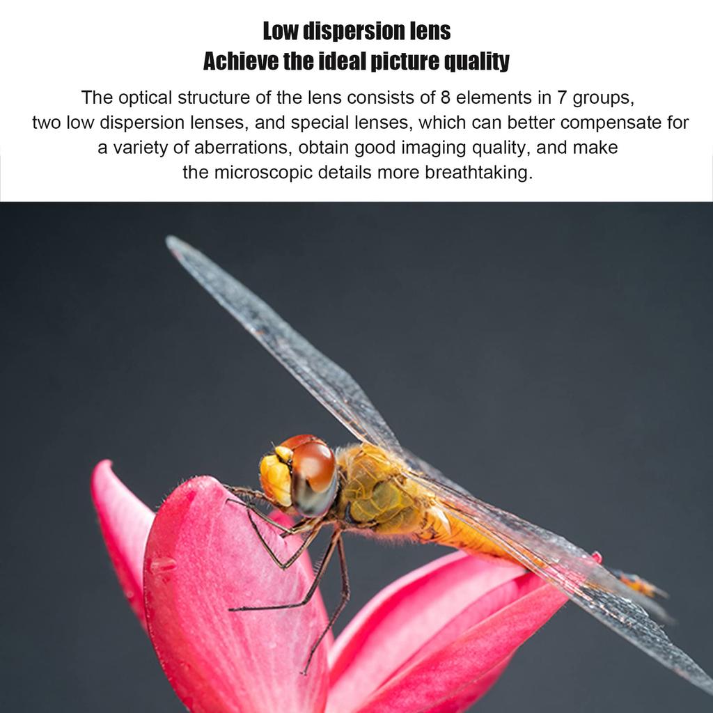 40mm APS C Macro 1X Large Manual Focus for Nikon Z Mount Cameras F2.8 Lens, Magnification, F2.8 Aperture, (ZFC, Z6, Z7, Z50, Z5, Z6II, Z7II, etc.)