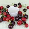 20PCS Photography Props Food Model Plastic Fake Cherry Lemon Patoto  Toy