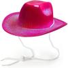 Pet Neon Shiny Space Cowboy Hat Clothing Set Dog Cat Symphony Cowboy Hat Western Cowboy Accessories