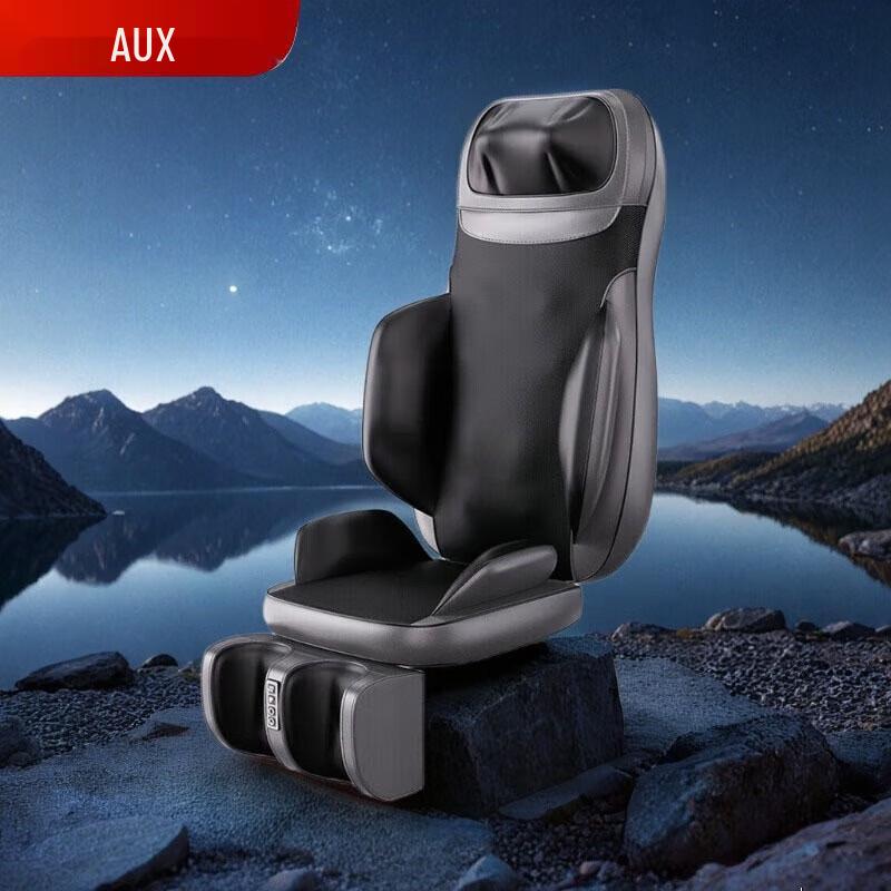 AUX Deluxe 3D Massage Cushion