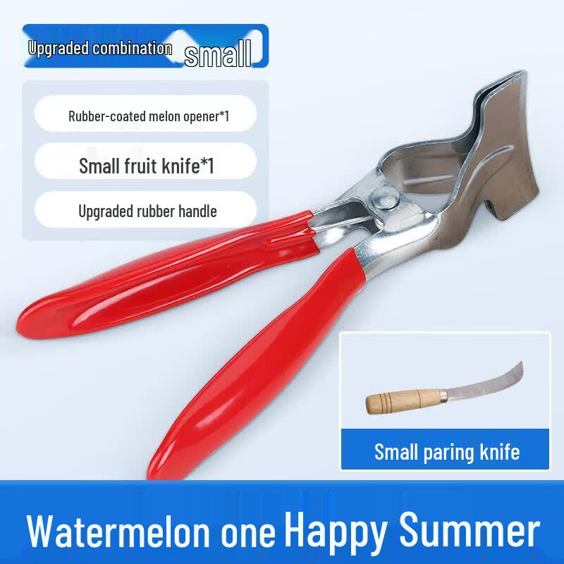 Stainless Steel Watermelon Slicer Tool