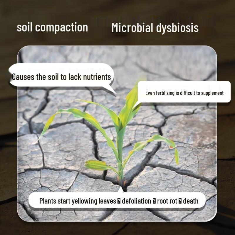 Slow Life Soil Activator & Rooting Agent