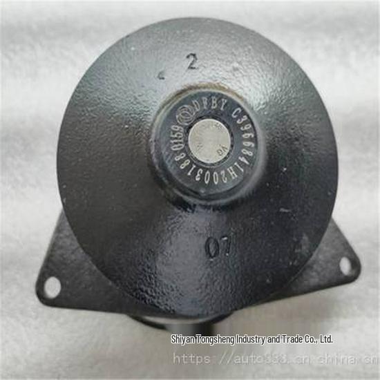 Cummins Engine Water Pump 3966841 for LiuGong 50 Loader & Excavator