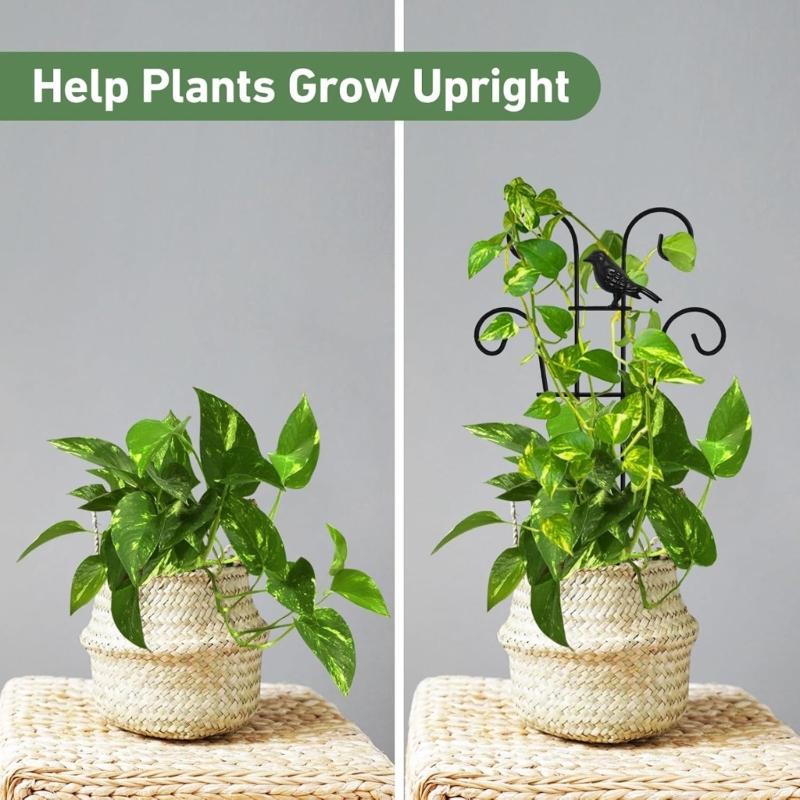 Iron Plant Climbing Support Durability Indoor Plant Trellis For Indoor Outdoor Garden Flower Vertical Growth