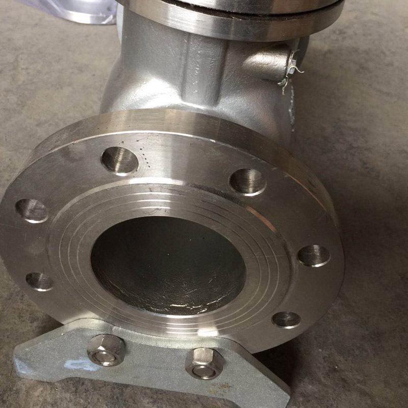 Sanitary Grade Stainless Steel Flanged Swing Check Valve