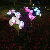 New Solar-powered Outdoor Lawn Lamp Courtyard Garden Decorative LED Lawn Ground Insert Lamp Simulated Phalaenopsis Flower Lights