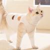 Winter Pet Vest With Cute Bear Embroidery Warm Fleece Dog Cat Clothes Small Medium Dogs