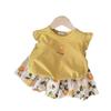 2025 Summer Outfit: Girls' Loose Short Sleeve T-shirt & Princess Skirt Set