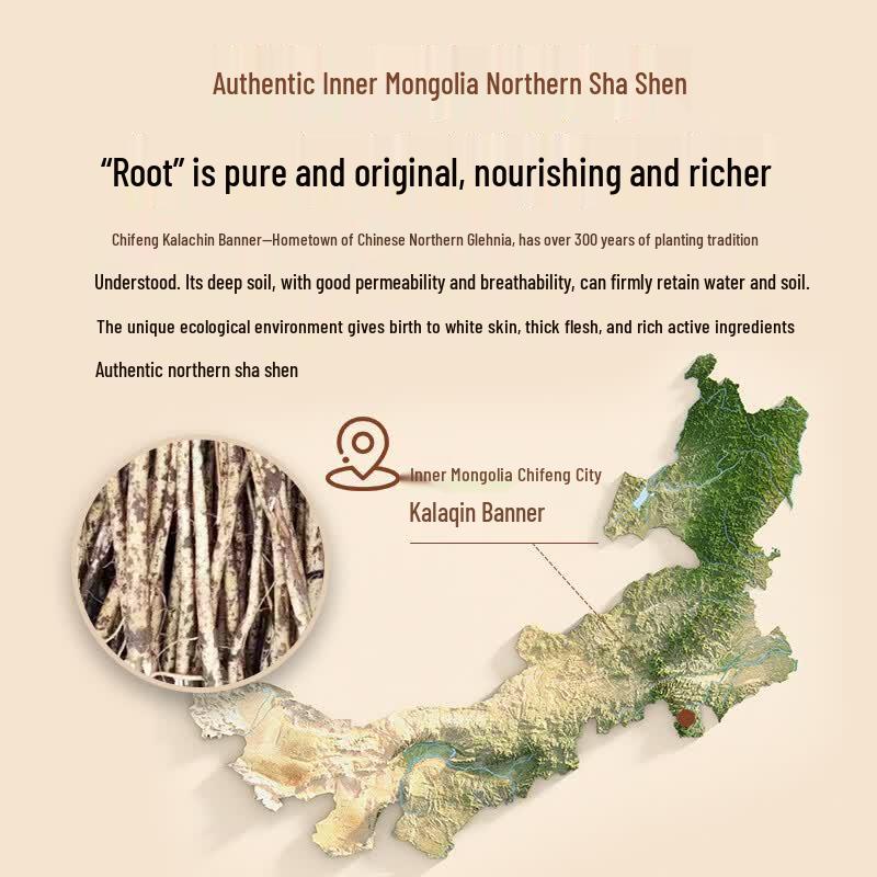 Tong Ren Tang Northern Glehnia Root (Beishashen) Dried Segments