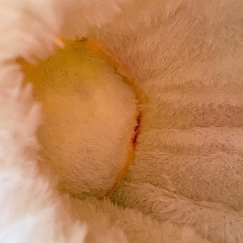 Warm Hamster Hammock Thicken Plush Squirrel Beds Pet Sleeping Bag Cage Accessories