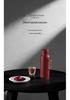 Platinum Portable Travel Electric Kettle: Boil Water On-the-Go