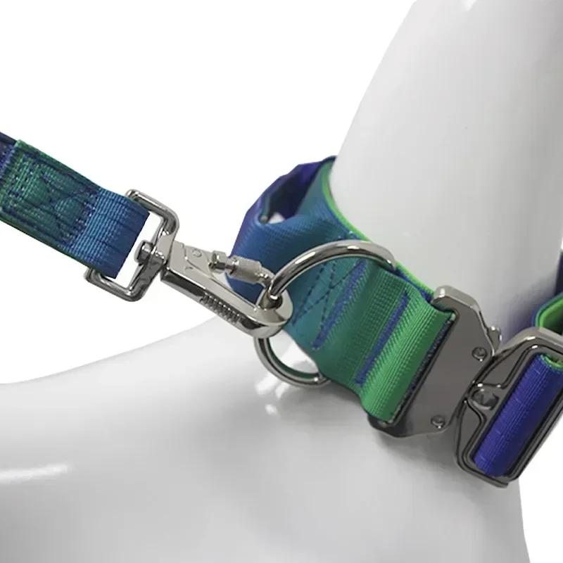 5MM Hundeleinen-Set, schrittweiser Wechsel, doppeltes Nylonhalsband, mittelgroße und große Hunde, Heimtierbedarf, Trainingsseil, Zubehör für große Hunde