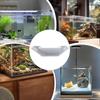 Widened Shrimp Cave Bottom Stepped Artificial Resting Cave Hideouts  For Fish Tanks Aquariums