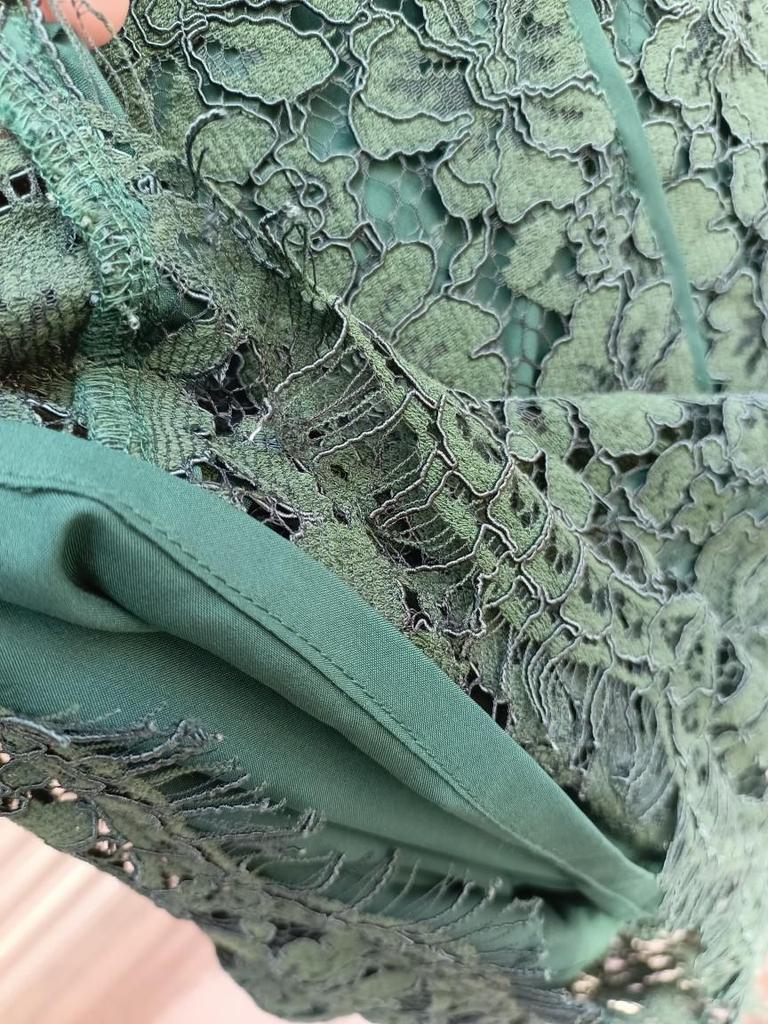 Plus Size Youthful Eyelash Lace Dress - Spring/Autumn Hip-Hugging Casual Style