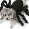 Pet Spider Costume: Scary Plush Transformation Outfit for Small Dogs and Cats