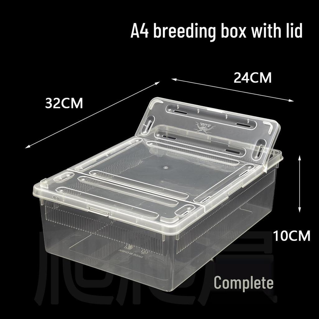 2nd Gen Reptile Breeding Box for Spiders, Frogs, Snails, Silkworms, Geckos, Snakes, and Turtles