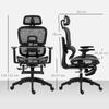 Multi-Adjustable Mesh Office Chair - Black