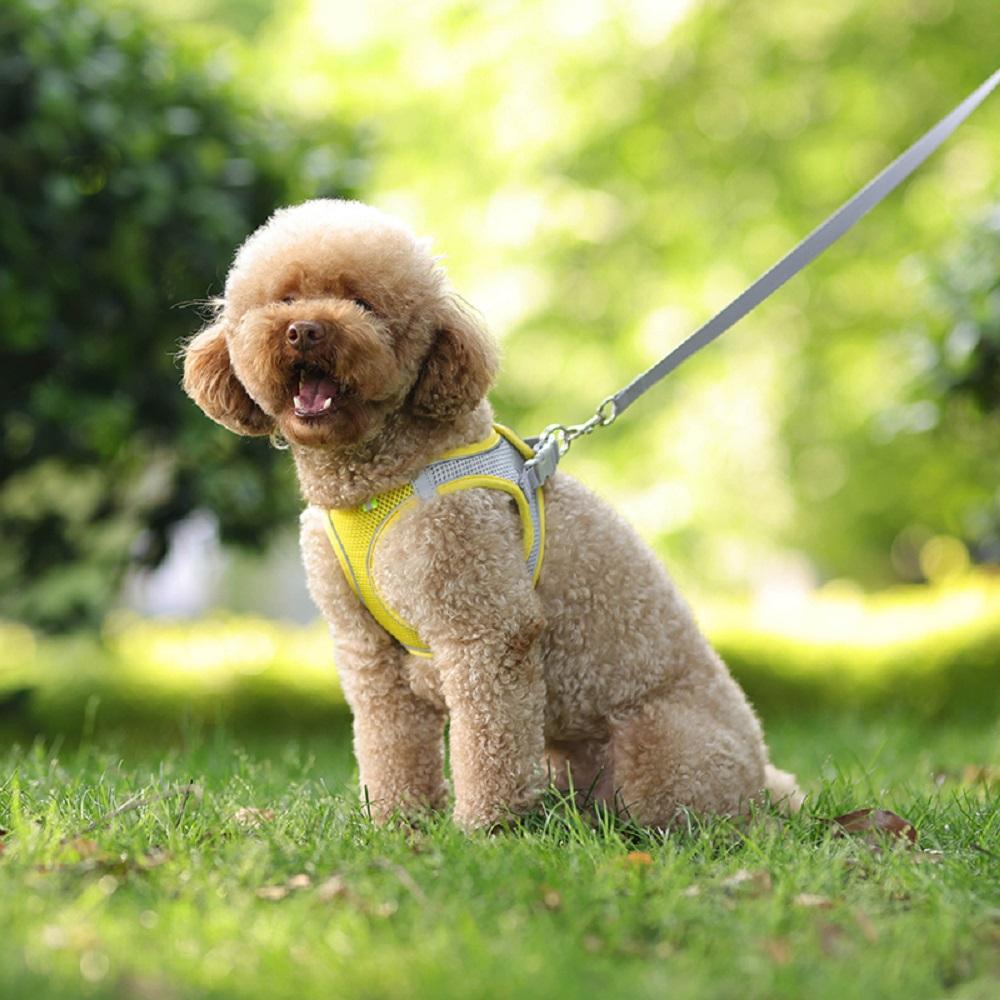 Black Adjustable P-chain Leash Puppy Cat Harness Yellow Vest Leash Dog Leash Set