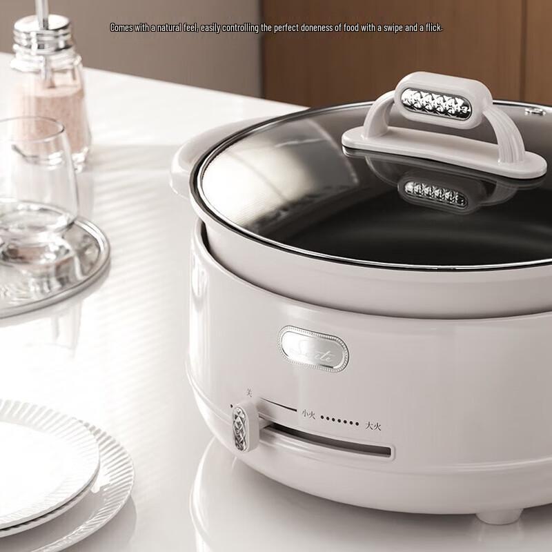 Xinsite Multi-function Divided Electric Hot Pot