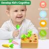 Wooden Montessori Toys Developmental Shape Sorting & Matching Puzzle Carrots Harvest Game Gifts for Toddlers Babies Boys Girls