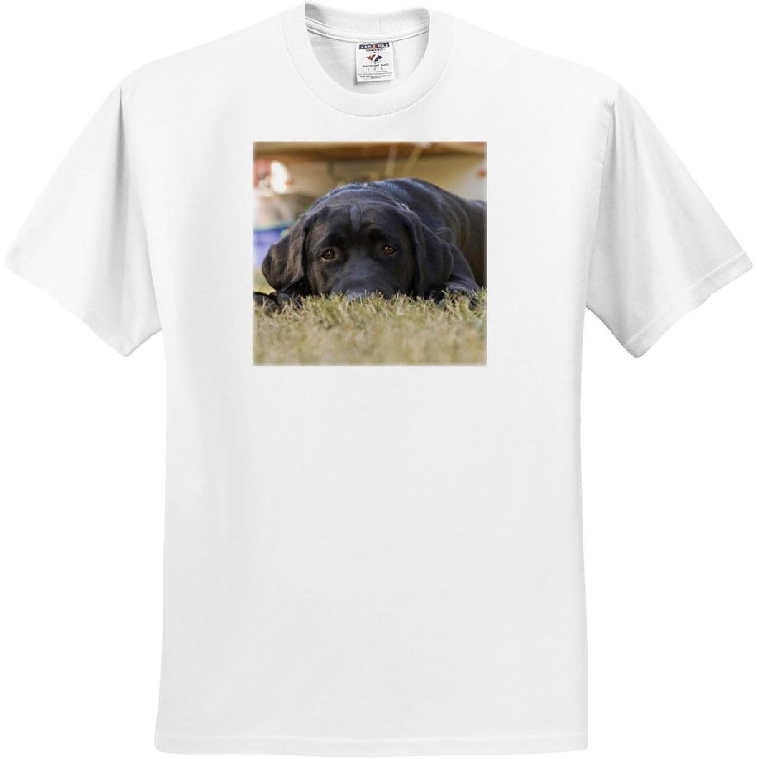 3dRose, Labrador Retriever Puppy Dog - NA02 RBR0015 - Rick A S