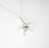 [Pre-owned] Tiffany 925 Starfish Pendant Necklace J79-1