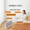 Xiaomi Graphene Smart Heater