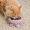 Pet Feeding Bowl Bow-Tie High-Leg Cat Bowls Large-Diameter Neck Protection Ceramic Pet Bowls Cute Anti-Slip Dog Feeder Dish Home