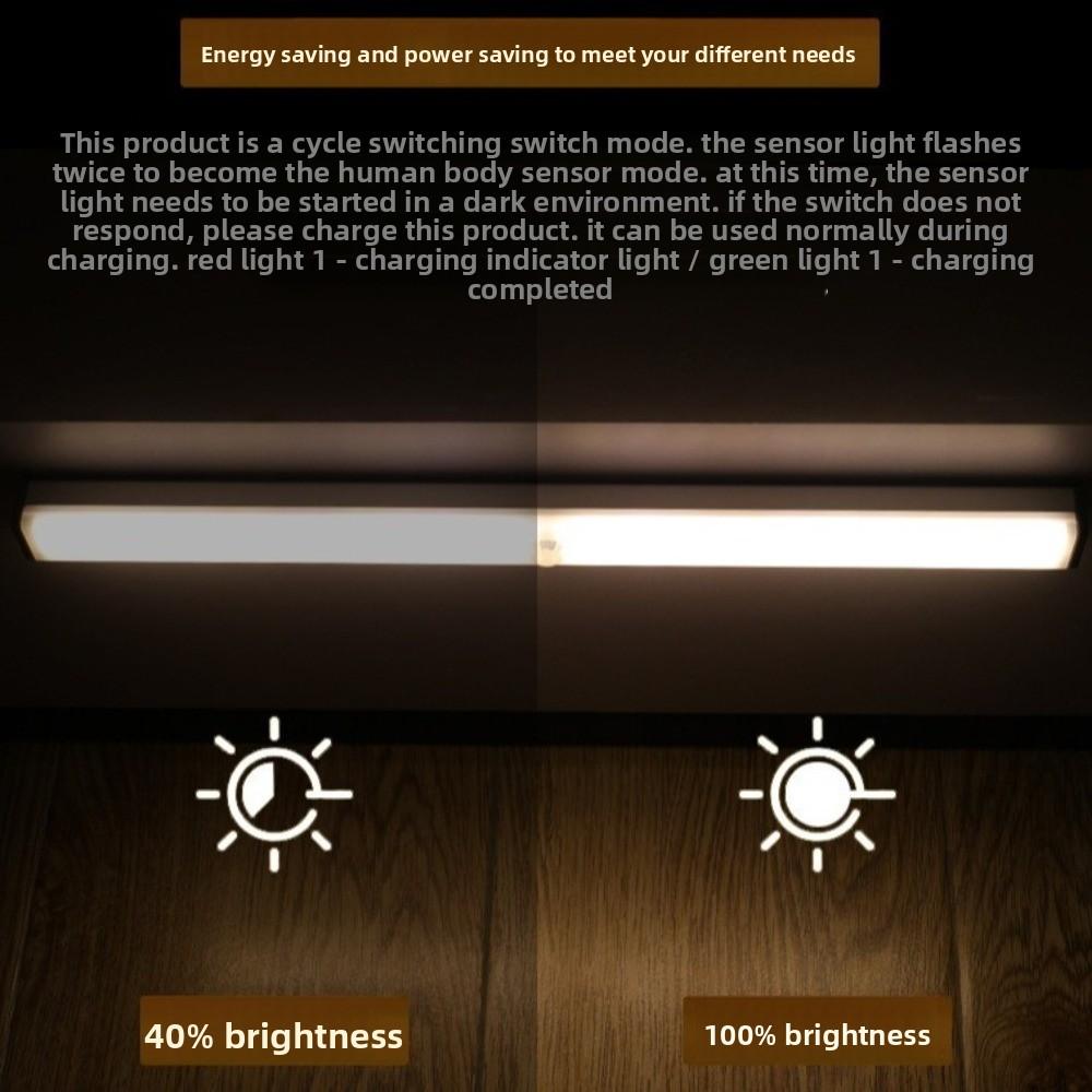 USB Charging LED Lamp Intelligent Magnetic Wardrobe Light New Human Body Induction Light Strip