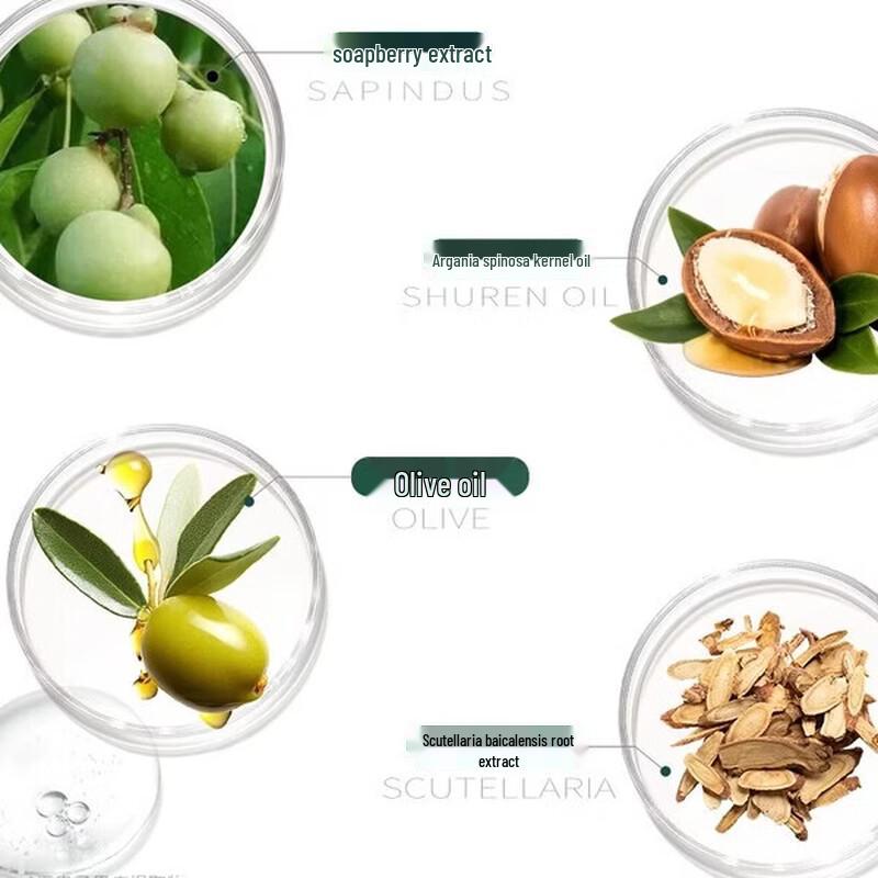 Seeyoung Sapindus Oil Control Shampoo