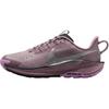 Pegasus Trail 5 GS Plum Dust Platinum Violet Beyond Pink Metallic Silver FV5638-500